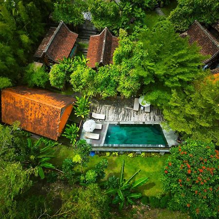 Bed and Breakfast Ubuntu Eco Yoga Retreat Canggu Exterior foto