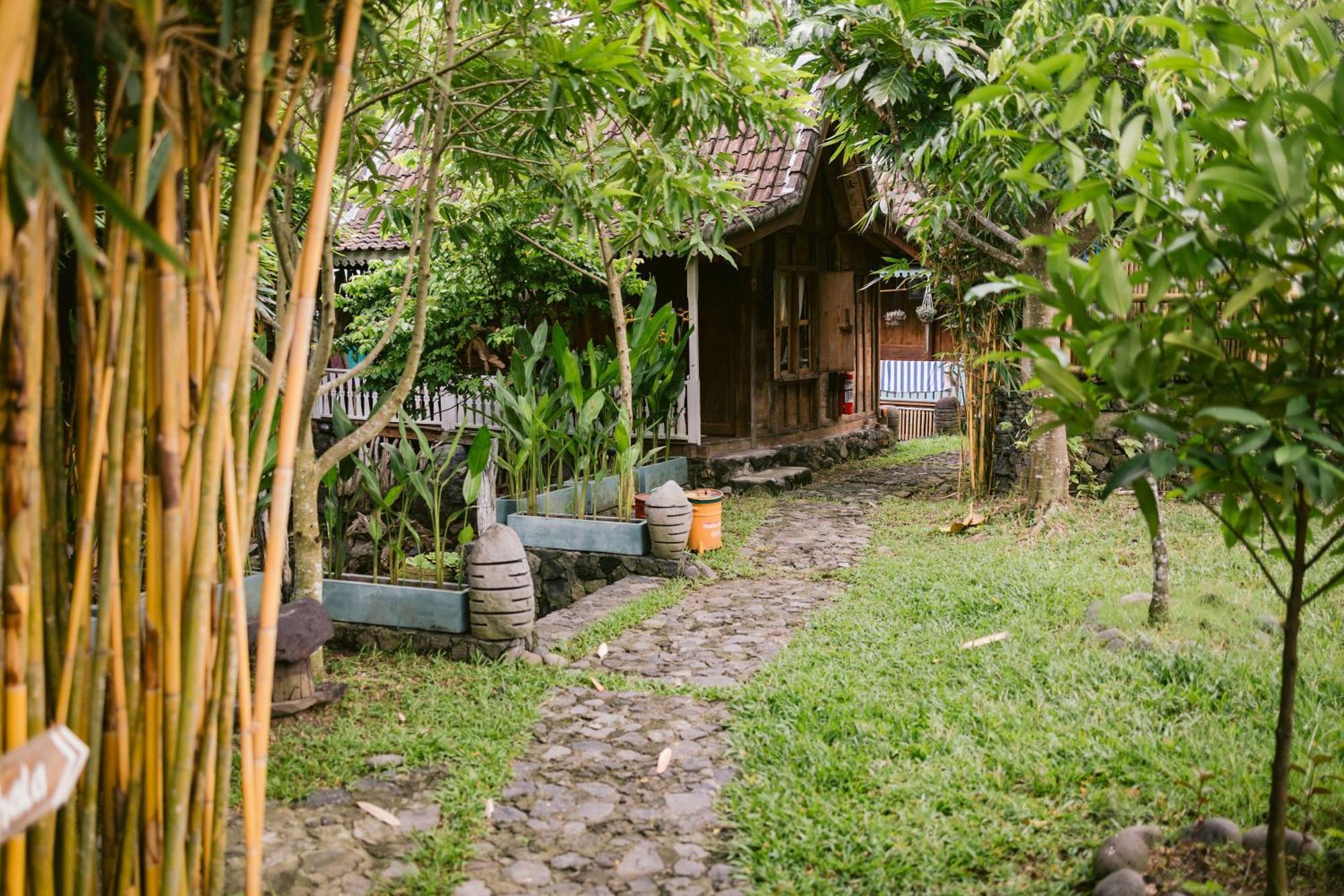 Bed and Breakfast Ubuntu Eco Yoga Retreat Canggu Exterior foto